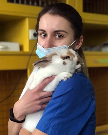 Ветеринар для кроликов в ветклинике «9 Жизней» Минск